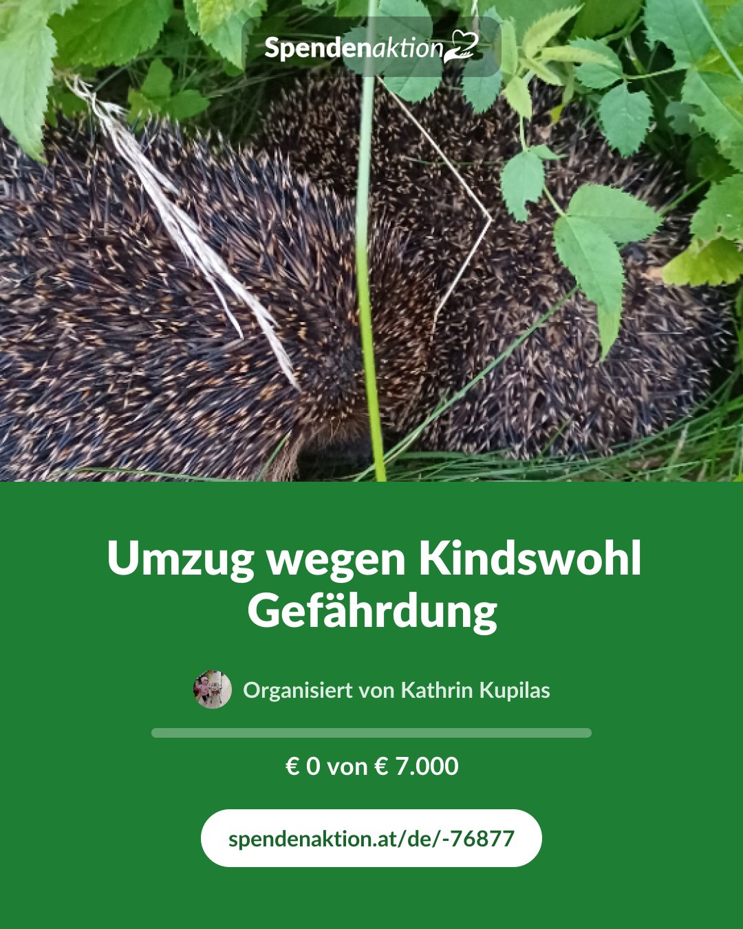 Vorschau des Bildes