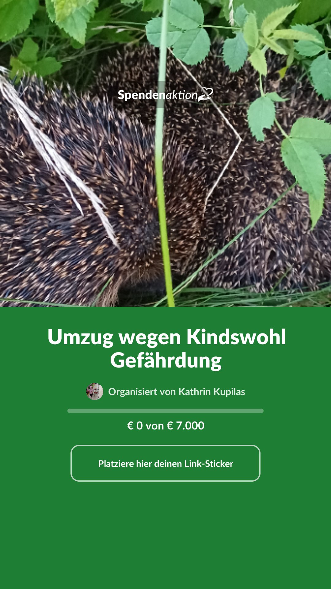 Vorschau des Bildes