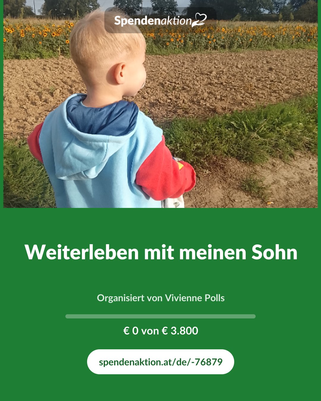 Vorschau des Bildes