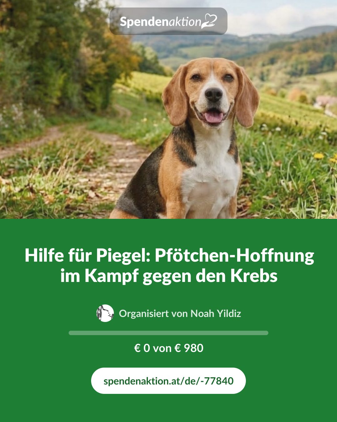 Vorschau des Bildes