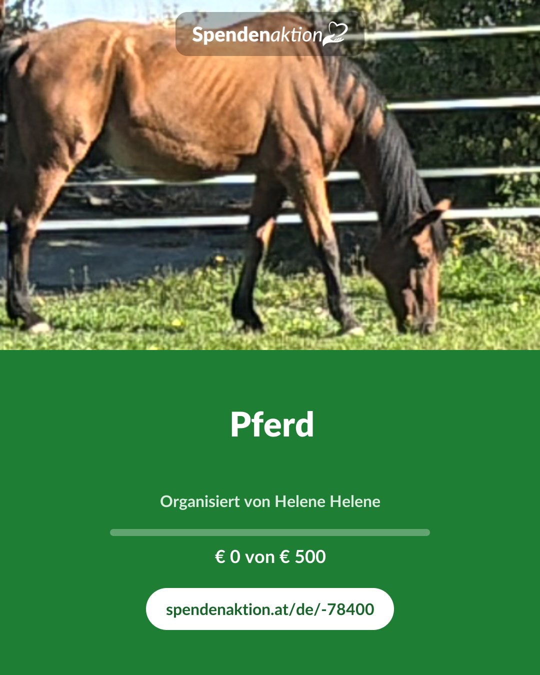 Vorschau des Bildes