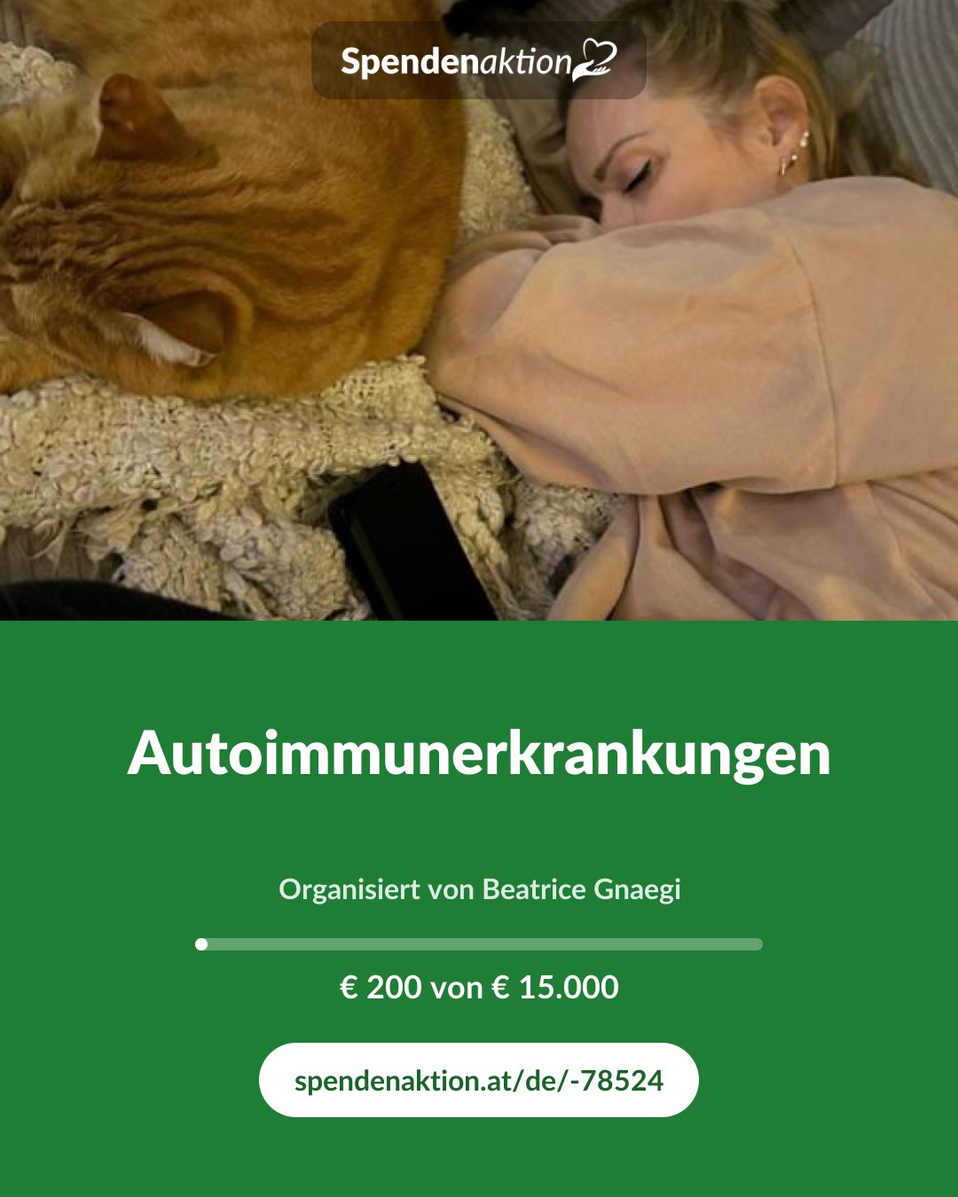 Vorschau des Bildes