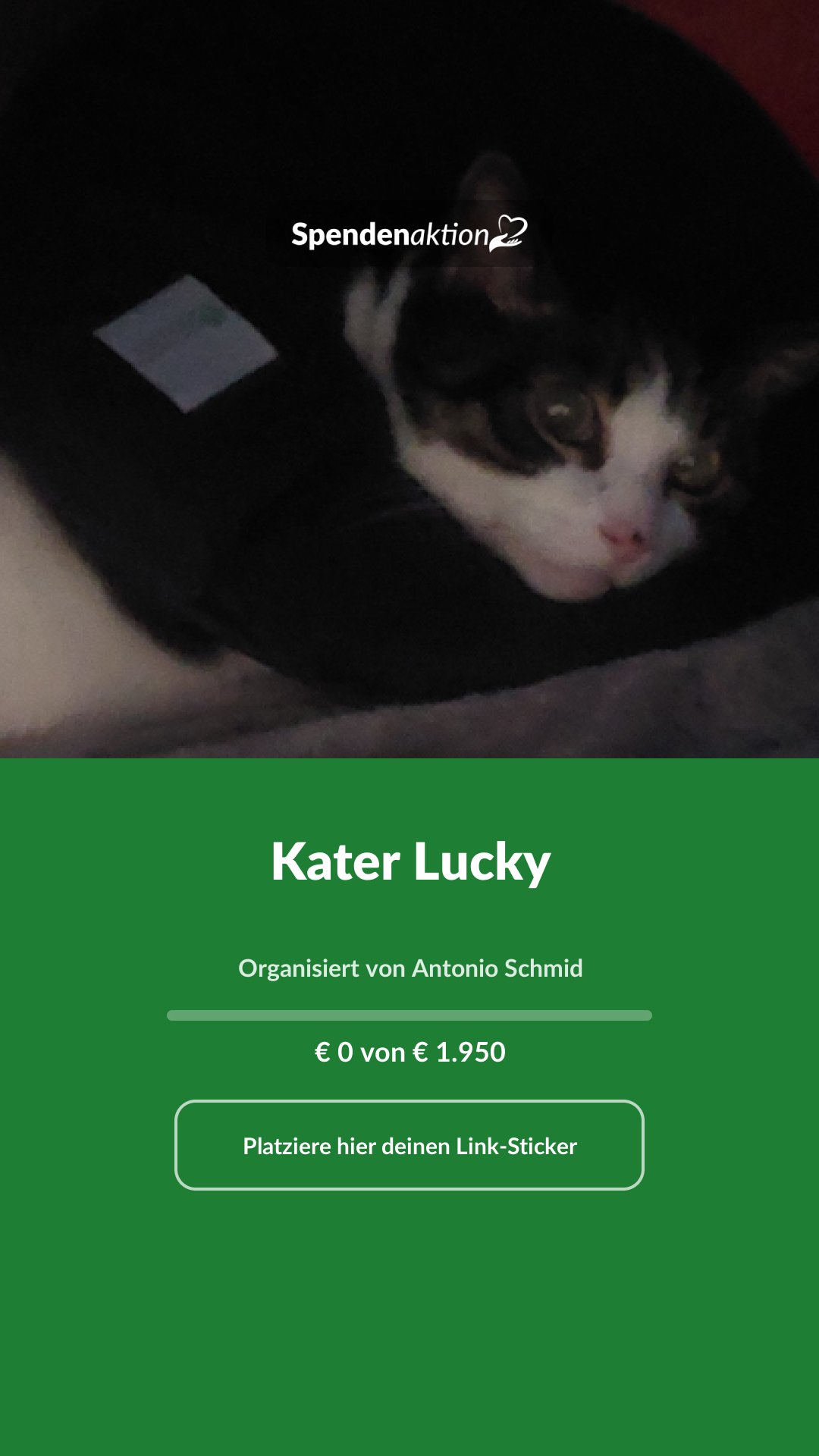 Vorschau des Bildes