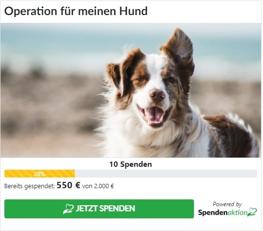 Spendenaktion Spendenbutton Groß